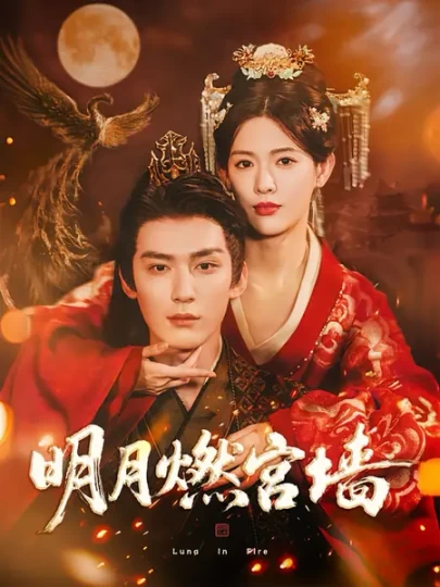 明月燃宫墙