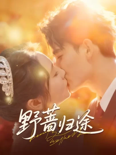 野蔷归途