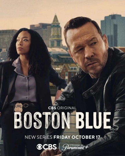 警察世家 衍生剧,Blue Bloods Spin-off封面图