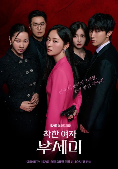 善良女子布西米,Ms. Incognito